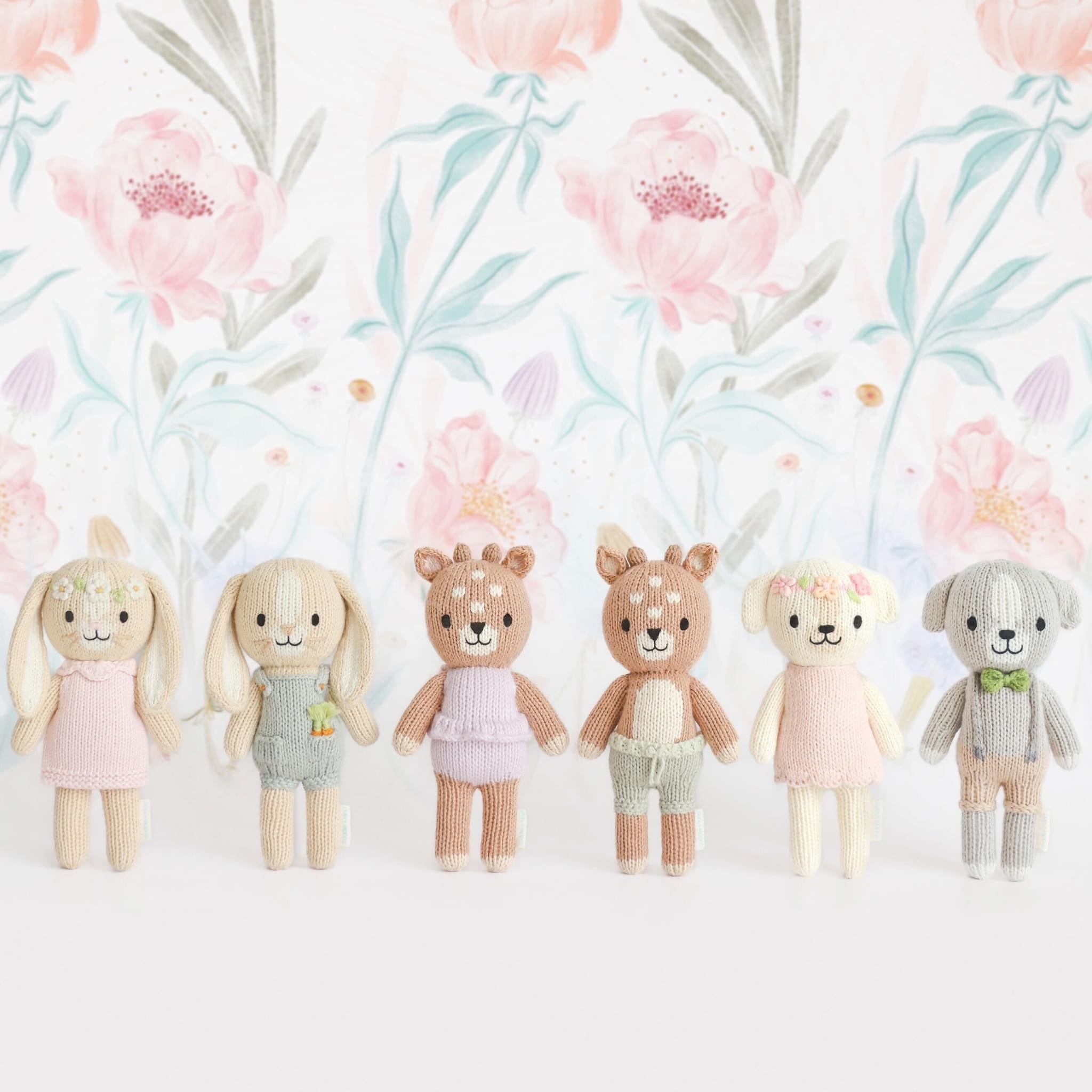 Cuddle + Kind Tiny Noah the dog