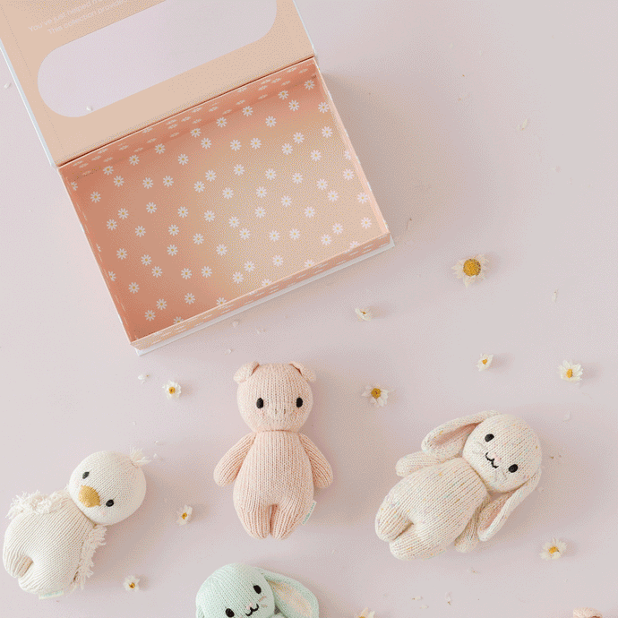 Cuddle + Kind Baby gosling