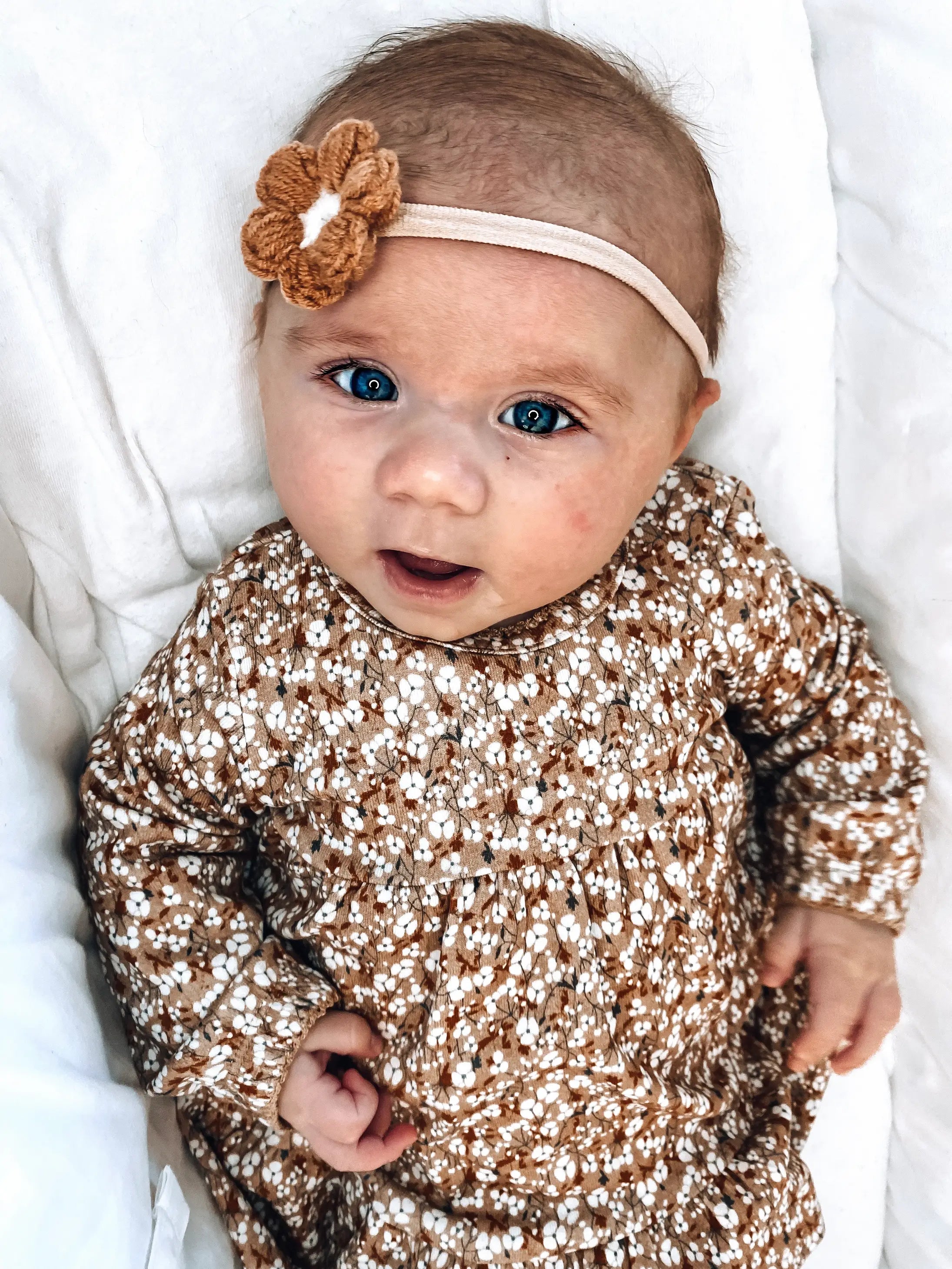 Peek-A-Beau Beau Camel