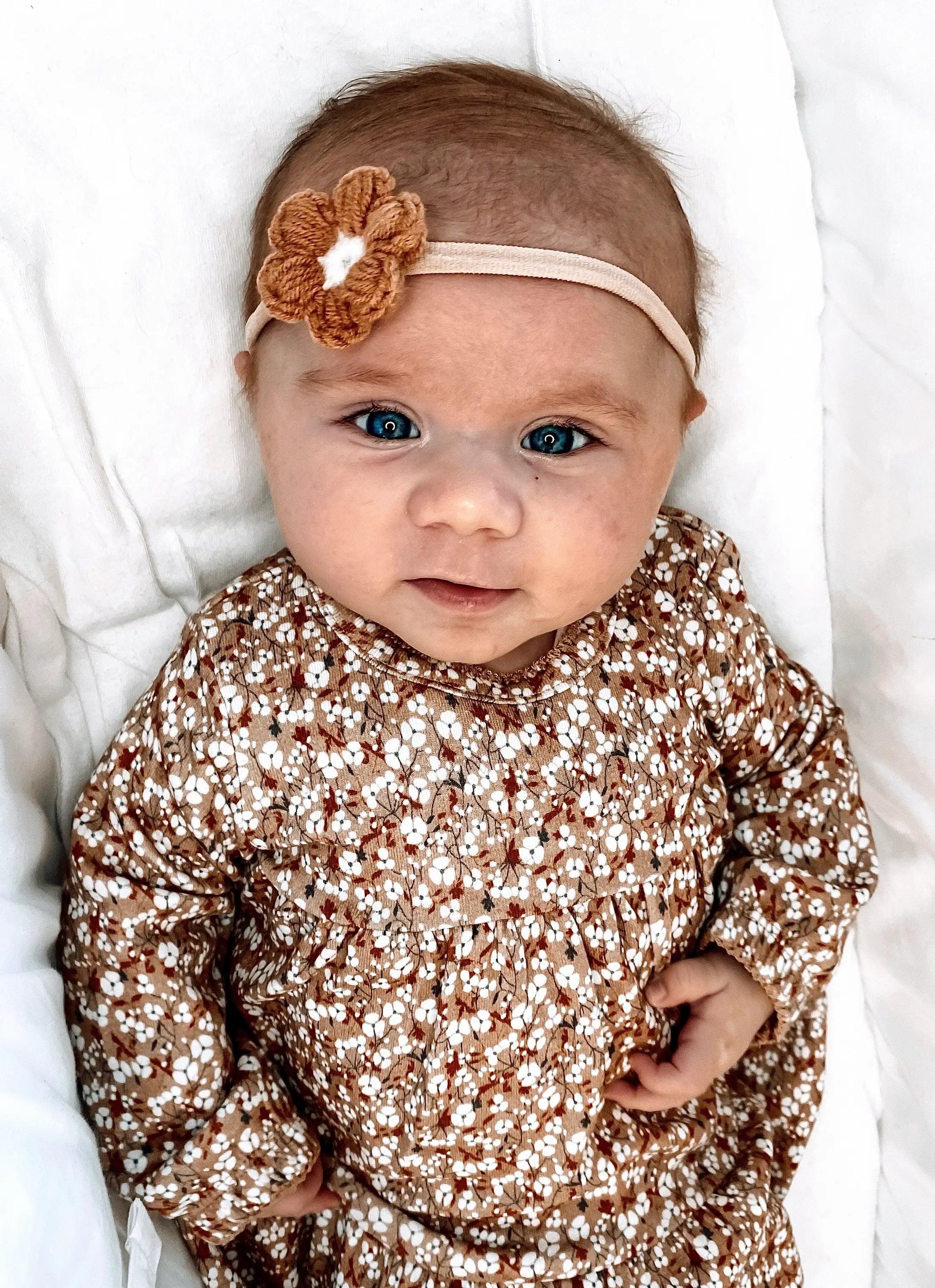 Peek-A-Beau Beau Camel