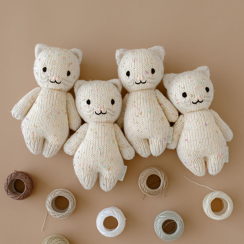 Cuddle + Kind Baby kitten