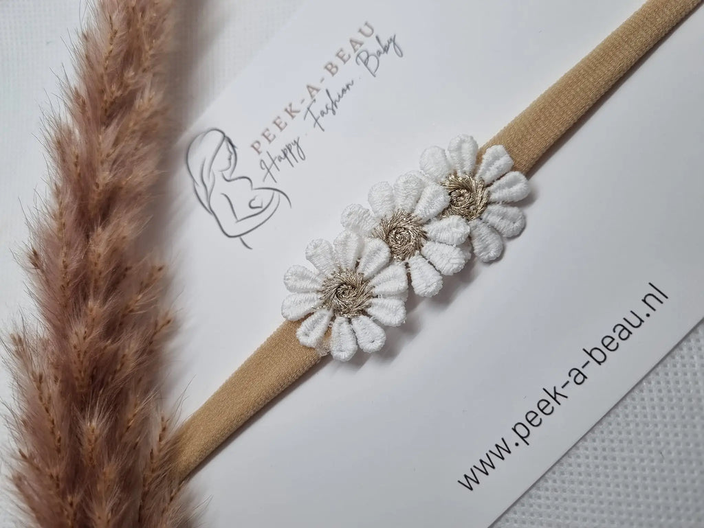 Peek-A-Beau Daisy gold