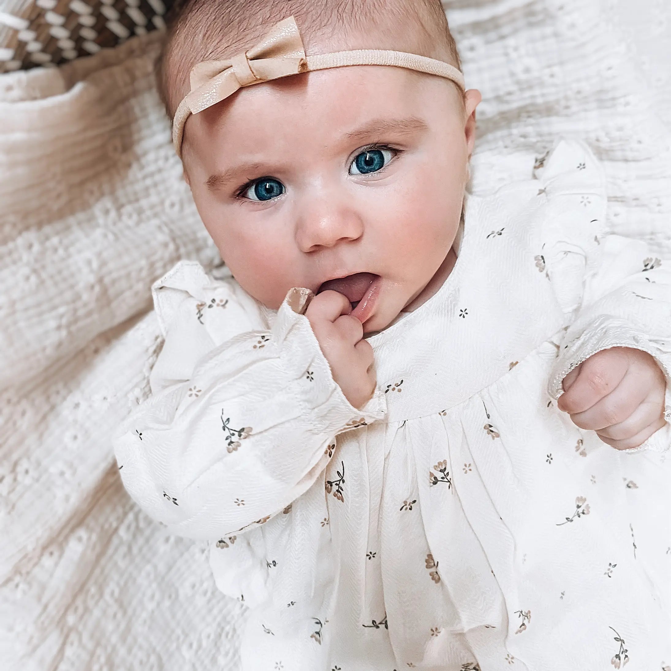 Peek-A-Beau Rosie blush